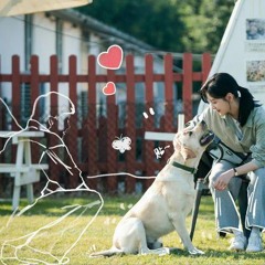 Em đã buông bỏ chưa - Trương Viễn (OST Soi sáng cho em)