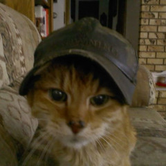 2004
