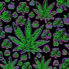 Weed America