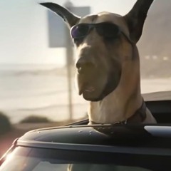 Habrikez - Distroton (AI Remix)