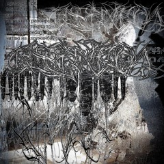 ninth legion