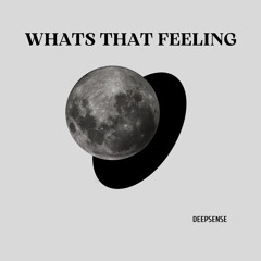 DEEPSENSE - Whats That Feeling (Original Mix)