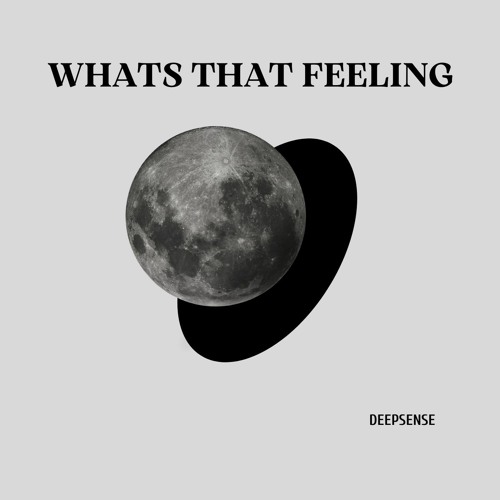 DEEPSENSE - Whats That Feeling (Original Mix)