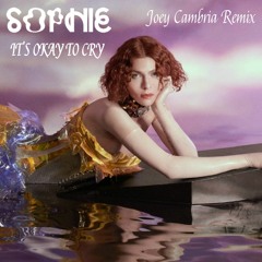 SOPHIE - Its Okay To Cry (Joey Cambria Remix) [Tribute]