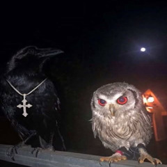 X n Os (ft. KILLION & 33WOODS)