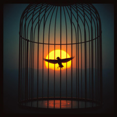 Libertad a Cambio de Miedo