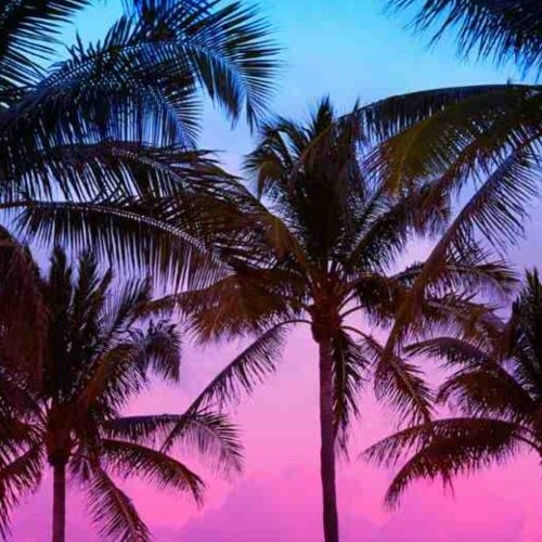 Palm Trees | House Song