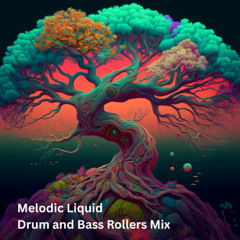 Melodic Liquid Drum and Bass Rollers Mix ( August 2025 )