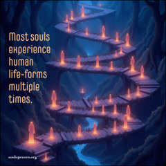 Oct. 26, 2025- Most souls reincarnate