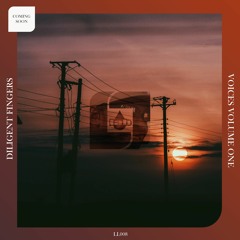 DILIGENT FINGERS FEAT CHARLA GREEN - SO MANY TIMES