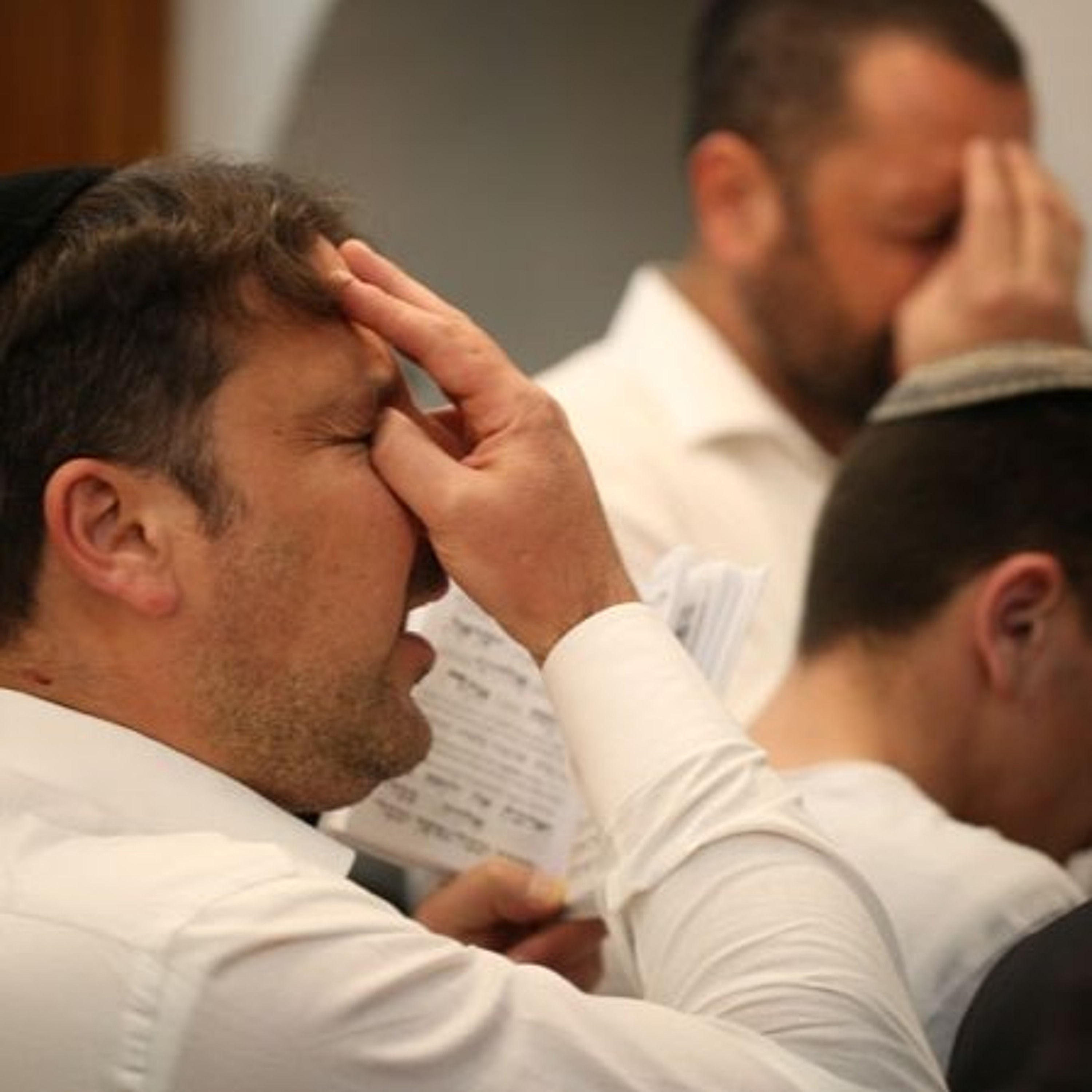על אופייה הדואלי של האמונה היהודית, בין האידיאה הצרופה לפרקטיקה הדתית/הקיומית. מסע מפרשת ואתחנן לפרשת עקב. מפרשה ראשונה של קריאת שמע, לפרשה שניה episode artwork