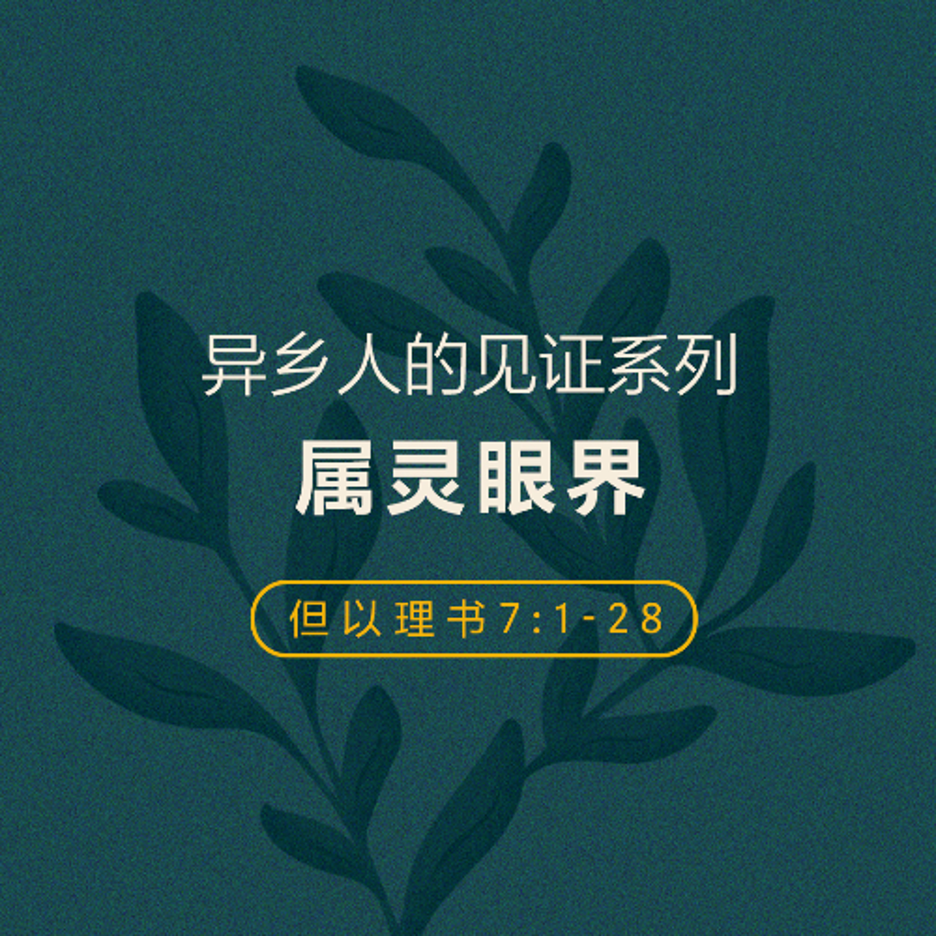 07/06/2025 【异乡人的见证】属灵眼界（但 7:1-28） —— 王唯权 牧师