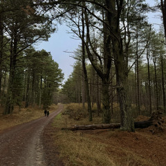 Farm to Forest w/ Louise Taylor 250925