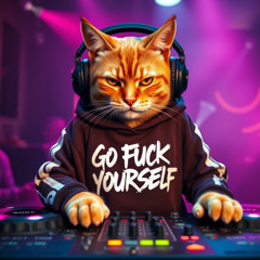 Rota de Colisão BIG CAT DJ