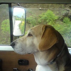 The Backseat Of Our Car