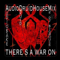 There s A War On (AudioDruidHouseMix)