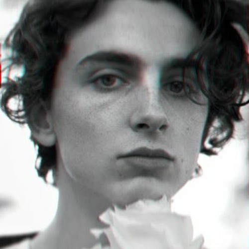 Listen to timothee chalamet speaking french but its lofi by dryhigh in  Timmy playlist online for free on SoundCloud