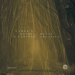 Mente Organica  - Vamos Al Bosque A Caminar (y Ver) Mix