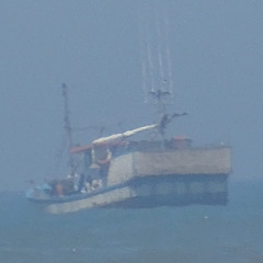 Marasmo - Preferia Não