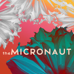 Unread Pieces By The Late Poet