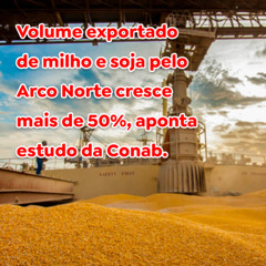 Volume exportado de milho e soja pelo Arco Norte cresce mais de 50%, aponta estudo da Conab
