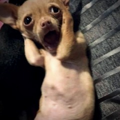 NST | NHẠC CỦA ANH HẢI PHÒNG VOL6. | NO NAME REMIX | HOT NEW STYLE TH 2023