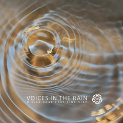 Voices in The Rain