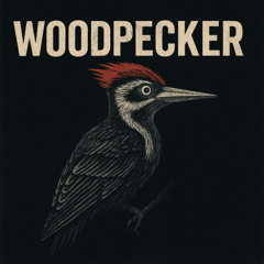 Woodpecker