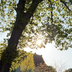 Unwohlsein in Hildesheim