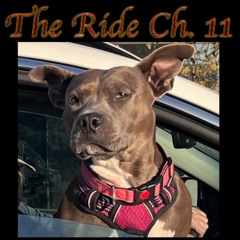 The Ride Ch. 11