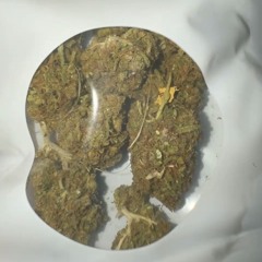 🎀NEW WAVE BAZI🎀