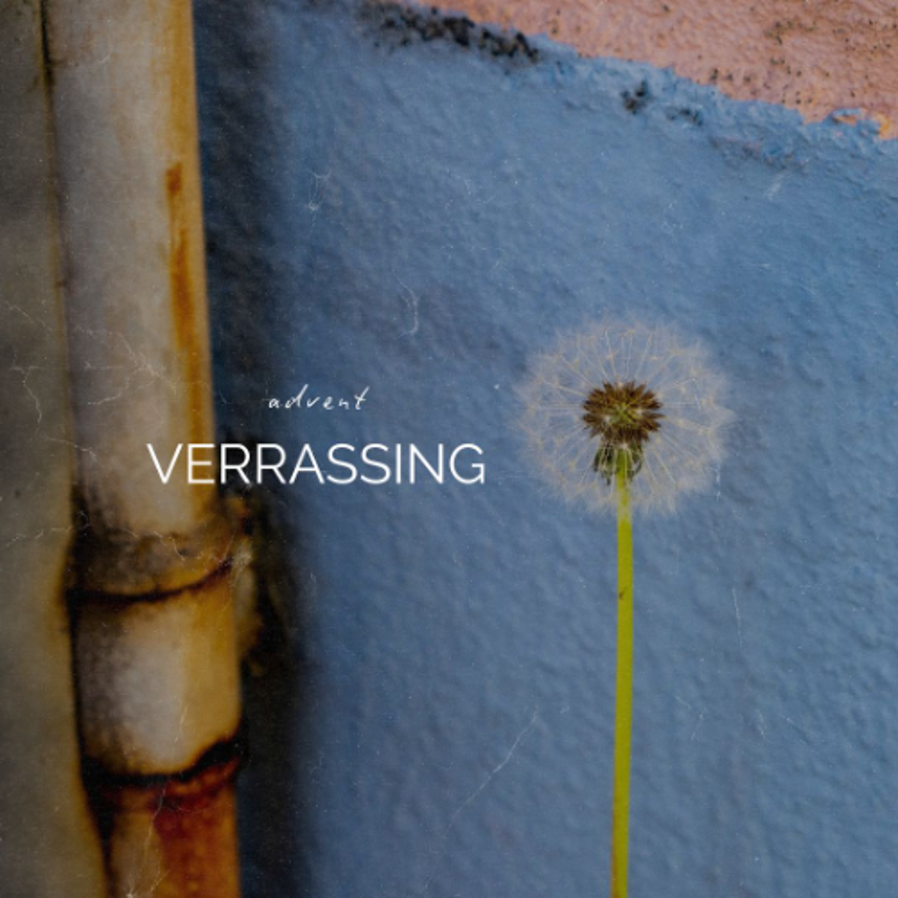 Advent: Verrassing deur Frieda van den Heever