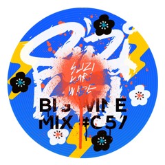 Suzi Kari - Big Wine Mix 057