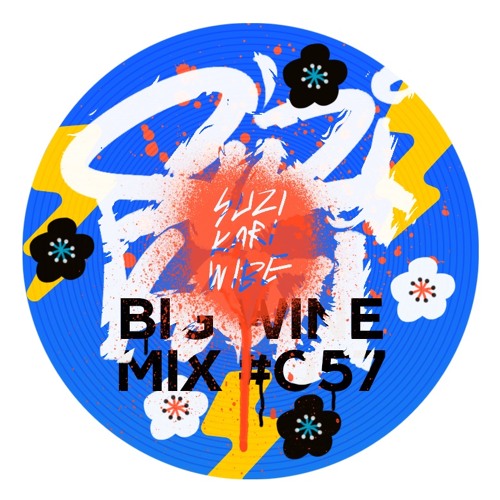 Suzi Kari - Big Wine Mix 057