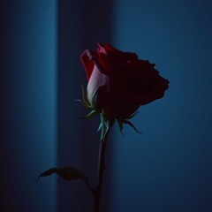 Just A Thorn Now..mp3