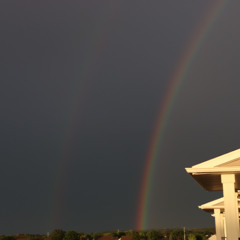 and for a moment, everything was quiet