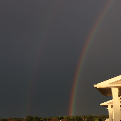 and for a moment, everything was quiet