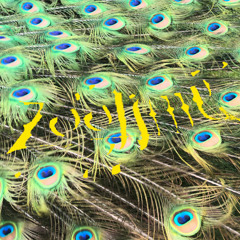 zOoTiMe - diSco 2079 part ii