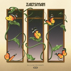 [DSDDIGITAL004] Zaltsman - In Close Proximity EP
