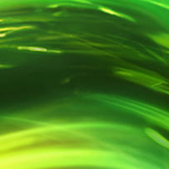 Missin Drug (smllslikekurtt)