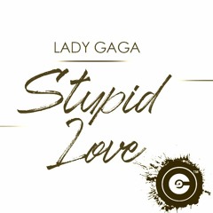 Lady Gaga, Junior Senna, Yinon Yahel - Stupid LOve Take The WOrld (COLDHANSQueiroz Mash Mix)