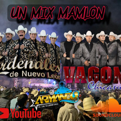 VAGON CHICANO vz LOS CARDENALES DE NUEVOLEON MIX v1