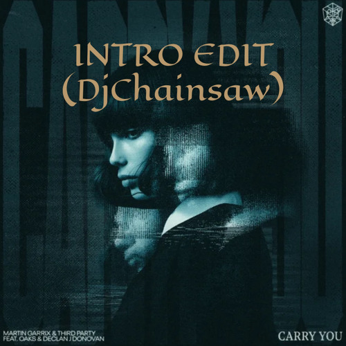 Martin Garrix & Third Party - Carry you (INTRO EDIT ) ( DjChainsaw Remake)