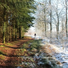 Wonder Why (Seasons Change) (Prod. Prototyp3)