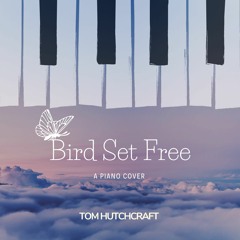 Bird Set Free
