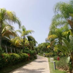 LIVE (SNIPPET) - SOPHIA GEORGE @ LIFETIME OAK BROOK CASA PLAYA (AUGUST 29TH)