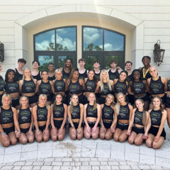 The Stingray Allstars Steel 23-24 *WORLDS EDIT*