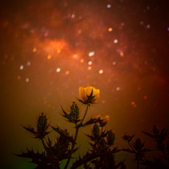 Reflectie van Aandacht