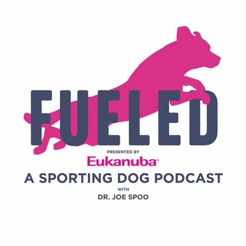 FUELED #14: Sarah Shull Part 2 - Cruciate Ligament Disease