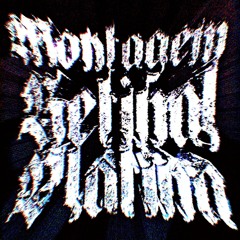 MONTAGEM RETINAL PLATINA (Official Audio)